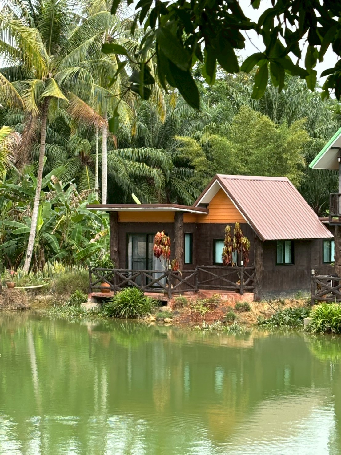 วิวภูเขายามเช้า Chaikao Retreat